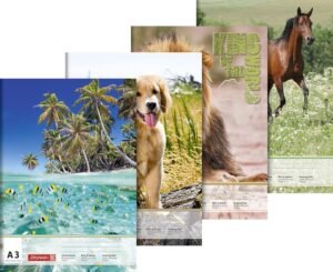 Brunnen 1047345 Zeichenblock – B001QPP5X0 113 91Tz4Zkfy8L. AC SL1500